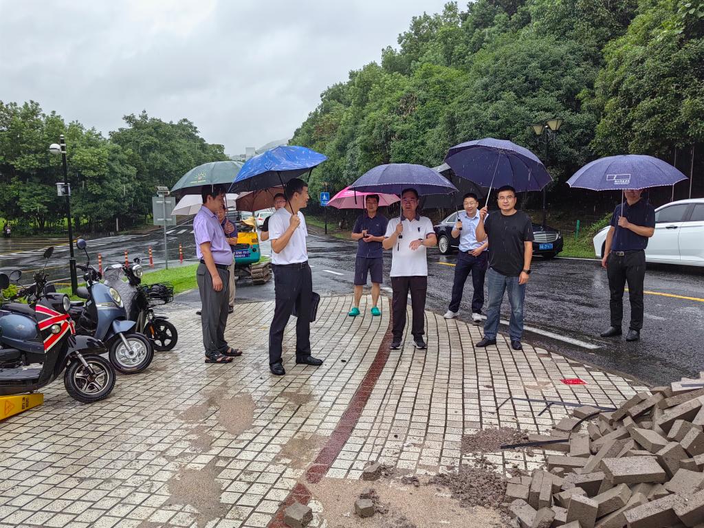 电子pg游戏平台下载