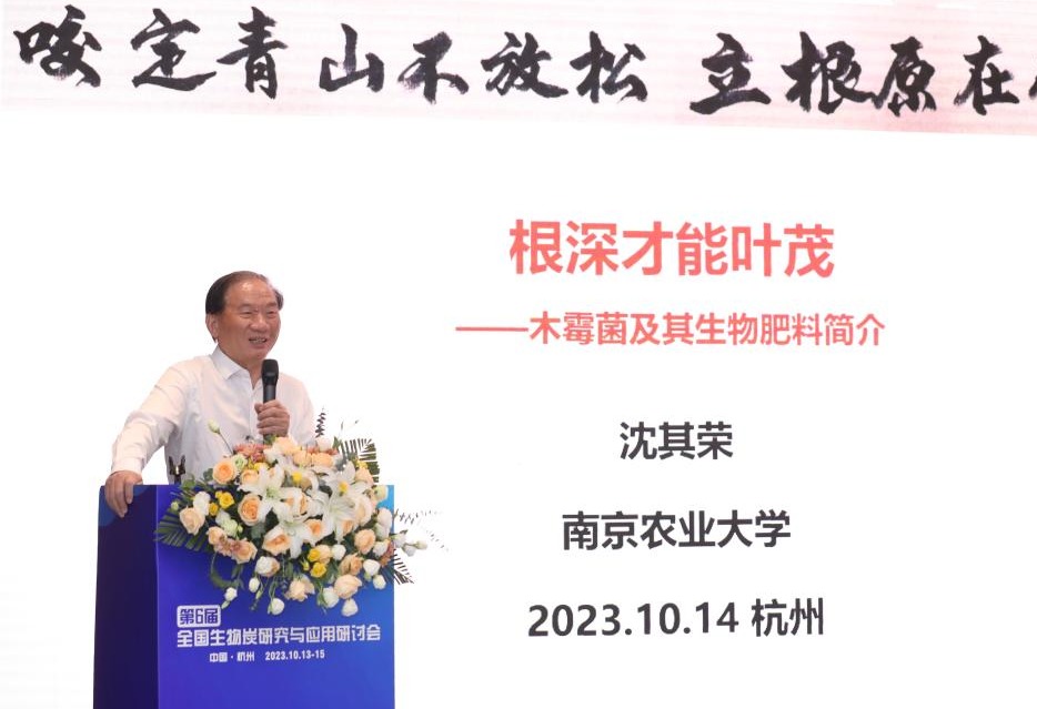 电子pg游戏平台下载