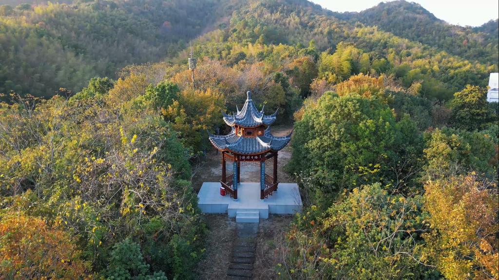 电子pg游戏平台下载