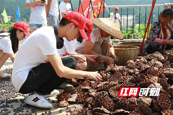 电子pg游戏平台下载