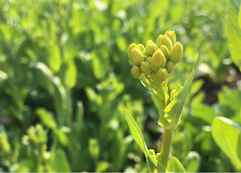 电子pg游戏平台下载