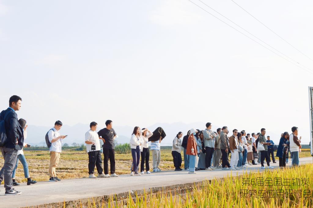 电子pg游戏平台下载