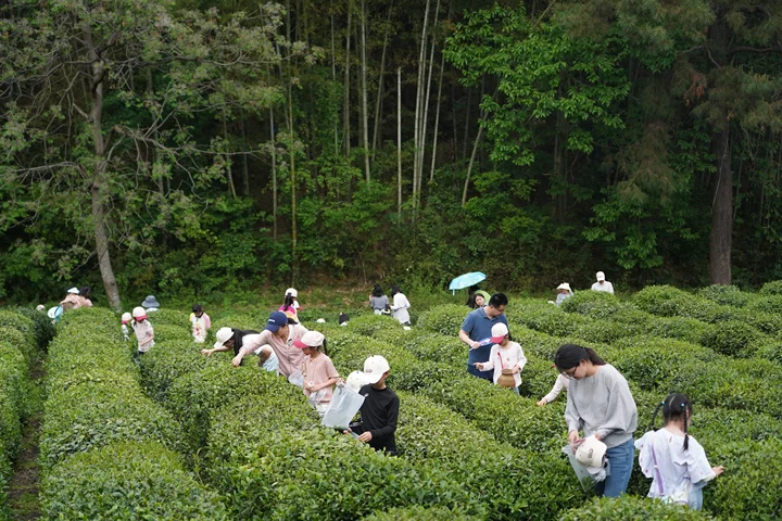 电子pg游戏平台下载