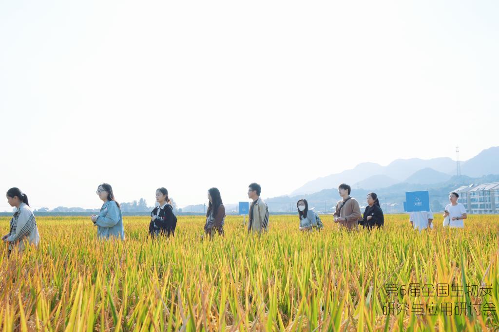 电子pg游戏平台下载