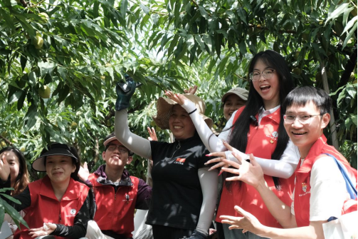 电子pg游戏平台下载