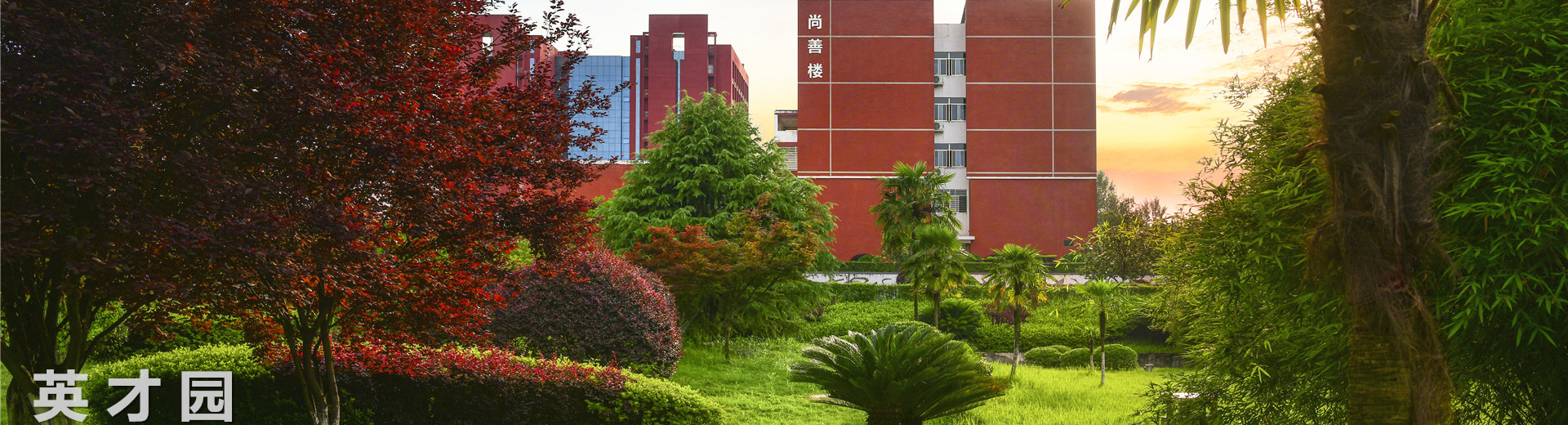 电子pg游戏平台下载