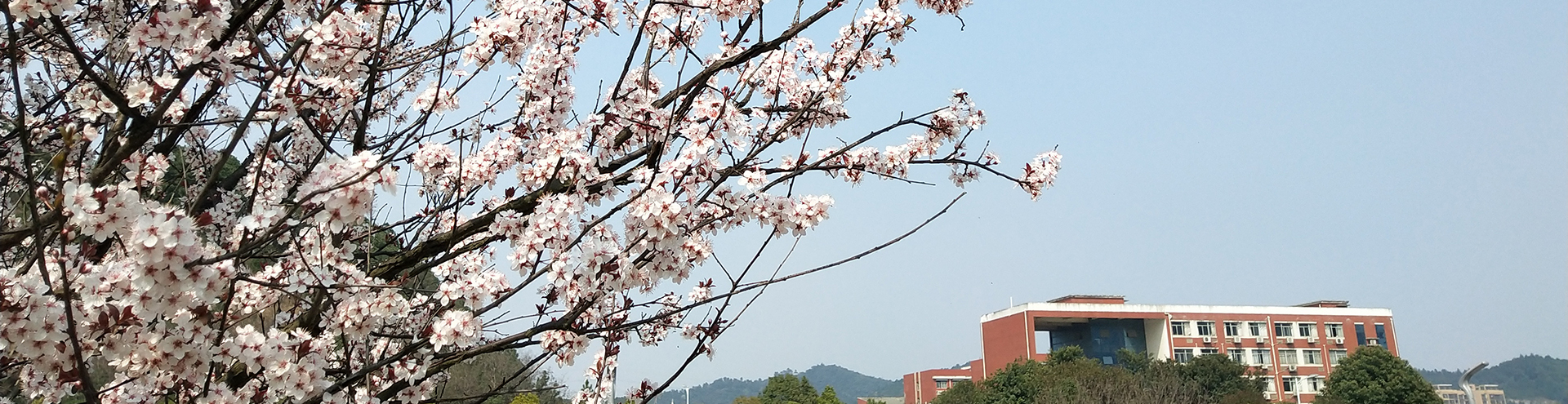 电子pg游戏平台下载