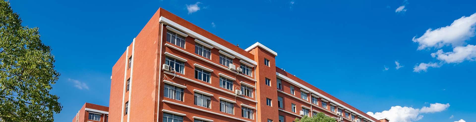 电子pg游戏平台下载