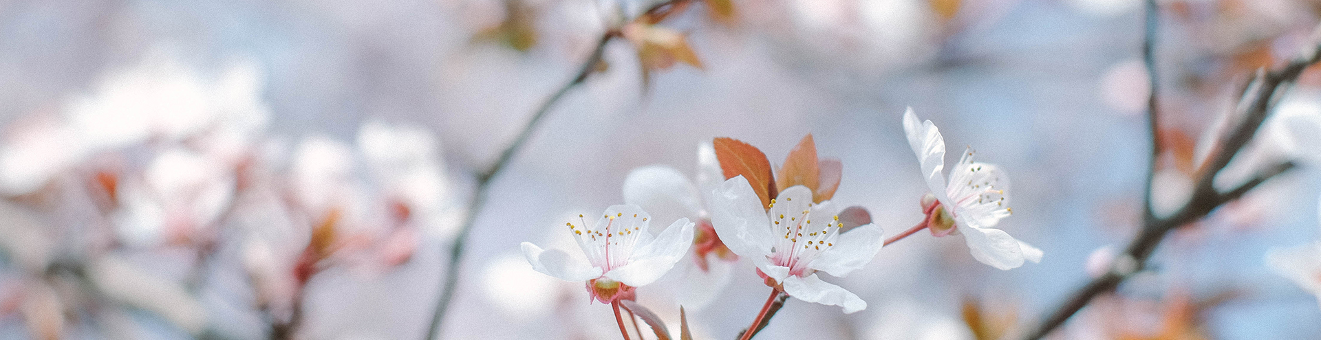 电子pg游戏平台下载